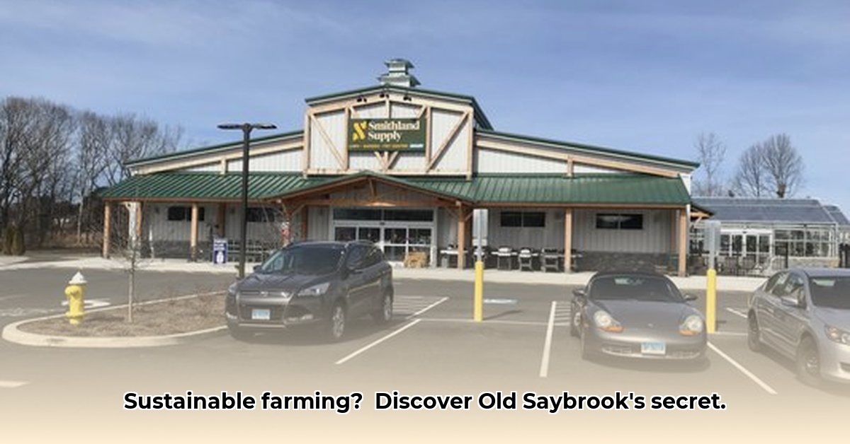old-saybrook-tractor-supply